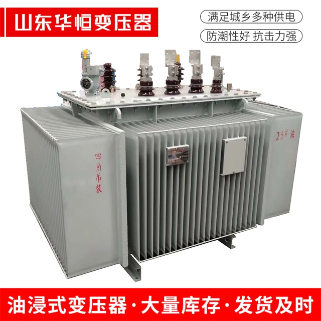 S13-10000/35阜平阜平阜平电力变压器厂家
